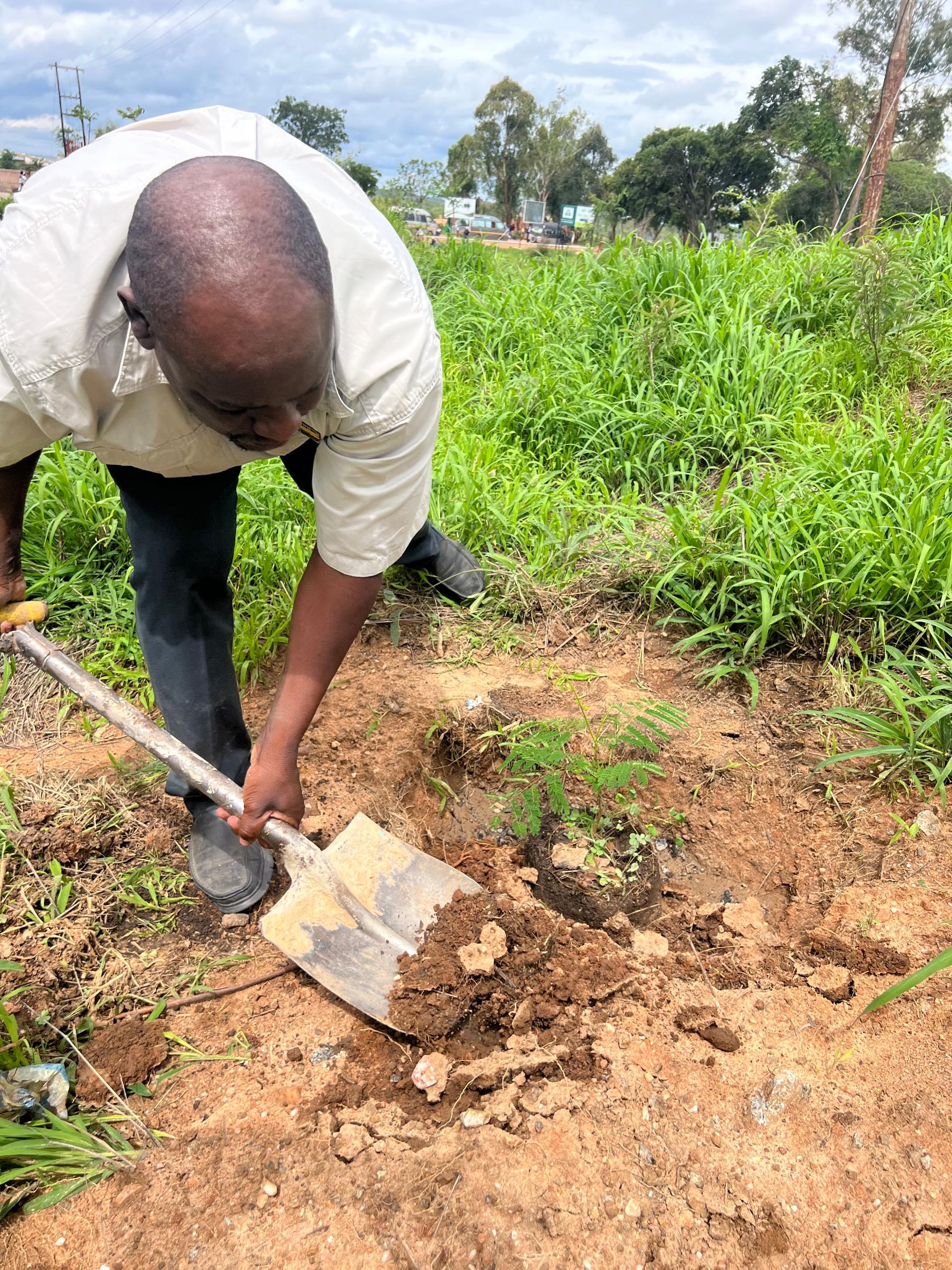 Community Participation